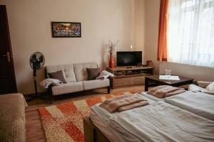 久洛Dobay Apartman Gyula的一间带两张床和一张沙发的客厅
