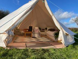 赫尔斯顿Trevena Cross Glamping的田野里带一张床和一张桌子的帐篷