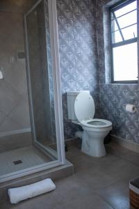 Lafrenz TownshipABGS AIR BnB 2 Bedroom Apartment的一间带卫生间和淋浴的浴室