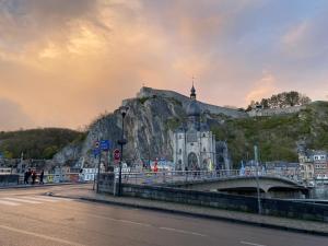 迪南Vue Meuse, en face de la citadelle的一座山上的建筑,一座桥和一座城堡