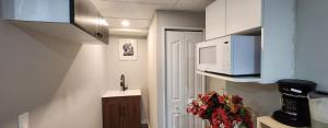 温尼伯New Stylish 2-Bedroom Basement Suite的带微波炉和水槽的小厨房