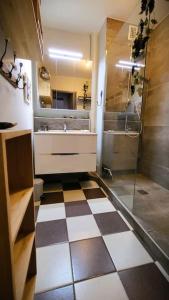 贝桑松Appartement des beaux-arts的一间带 ⁇ 合地板和淋浴的浴室