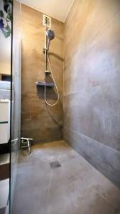 贝桑松Appartement des beaux-arts的带淋浴的浴室