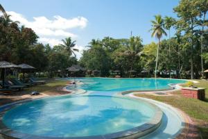 库玛拉孔Coconut Lagoon Kumarakom- CGH Earth的棕榈树度假村的大型游泳池