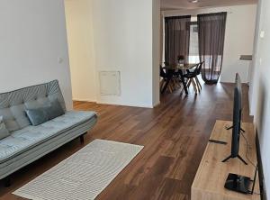帕拉迪索Lugano CASA NOSTRA guesthouse的客厅配有沙发和电视