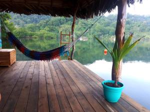 Tierra OscuraEl Toucan Loco floating lodge的木甲板上的吊床和盆栽植物