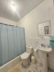 危地马拉安地瓜Blue Moon Hostel的一间带卫生间和水槽的浴室