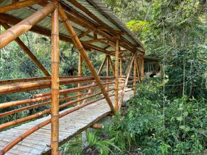 Majestic Coffee Hotel and Restaurant Tierradentro的森林中间的木桥
