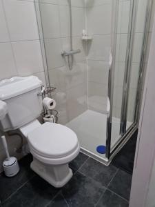 曼彻斯特Scotland Street, Newton Heath的一间带卫生间和淋浴的浴室