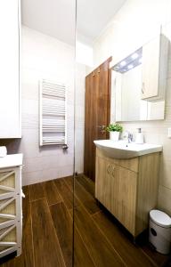 巴拉顿诺尔马迪Silver Home Apartman "A"的一间带水槽和镜子的浴室