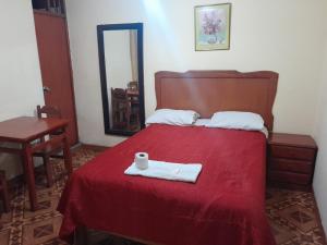 阿亚库乔HOSPEDAJE BUENA VISTA的一间卧室配有一张带红色毯子和镜子的床