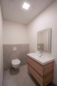 耶姆赛Tähtitaivas的一间带卫生间、水槽和镜子的浴室