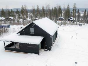 耶姆赛Tähtitaivas的屋顶上白雪的黑色小屋