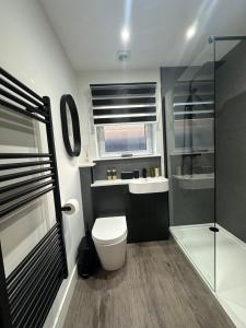 波特里Burnbrae Apartment的浴室配有卫生间、盥洗盆和淋浴。