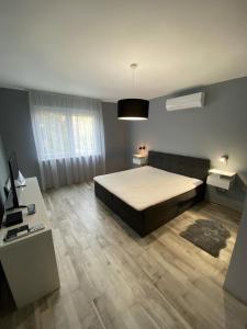 霍德梅泽瓦沙海伊Janka11 Apartman的一间卧室配有一张床、一张沙发和一张桌子