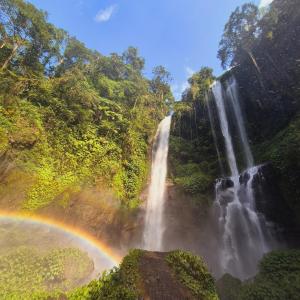 新加拉惹苏吉格德民宿的森林瀑布前的彩虹