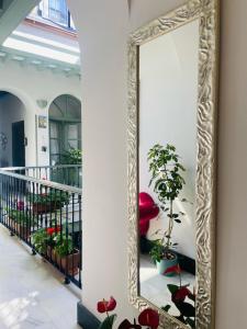 赫雷斯-德拉弗龙特拉La Gitanilla Alojamiento & Encanto Jerez的走廊里大镜子,有植物