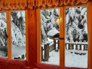 伊尔梅瑙Waldhütte Allzunah的窗户享有雪覆盖的树景