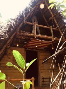 黎明之村Bamboohutz的茅草屋顶房屋的外部景观