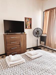 图蓬加托火山Departamentos PLENO CENTRO的一间卧室设有平面电视和2条白色毛巾。