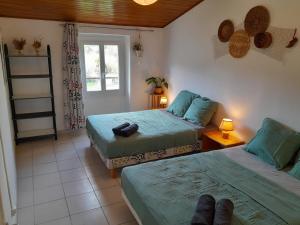 圣保罗德费努耶hOMe-Shanti Galamus的客房设有两张床、一个窗户和梯子
