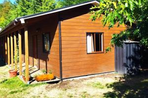 瓦尔迪维亚Chalet Valdivia的庭院中带窗户的小木屋