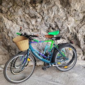 马罗内Angelo&Marì Mountain Lake Iseo Hospitality的停在石墙旁边的一辆蓝色自行车