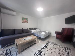 StolacCuprija _apartments的带沙发和咖啡桌的客厅