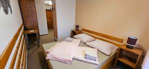 赫任斯科Penzion u Marešů的客房设有两张带毛巾和镜子的床