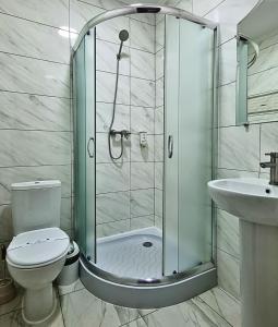 NovoselytsyaГотель "Валерія"的带淋浴、卫生间和盥洗盆的浴室