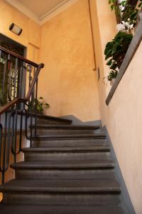 佛罗伦萨Hotel Giappone - 2 Min Walk Duomo of Florence的一座种植盆栽植物的建筑里,有一套楼梯