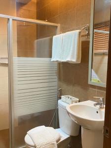 黎牙实比La Piazza Hotel and Convention Center Inc.的浴室配有卫生间、盥洗盆和淋浴。