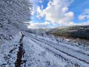 RothauGite au petit Donon的一条有雪覆盖的有树木的田野道路