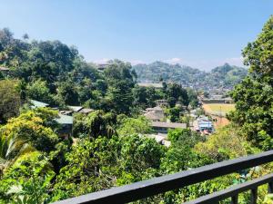 康提Kandy Dilruk Homestay的从树木茂密的山丘上欣赏到城镇美景