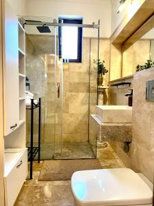 布加勒斯特Arc de Triomphe Studios的带淋浴、卫生间和盥洗盆的浴室
