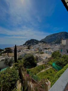 卡普里Capri Suite Dreams的享有拥有建筑和树木的城市美景
