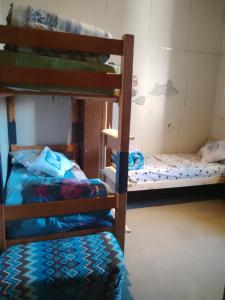蒙得维的亚Montevideo Hostel的一间客房内配有两张双层床的房间