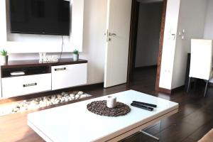 萨拉热窝Sarajevo Sky Suite的客厅配有电视和白色咖啡桌。