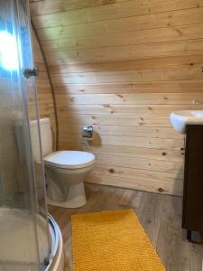 PrapuntaiKedras Glamping - Pod tipo nameliai的木制浴室设有卫生间和水槽