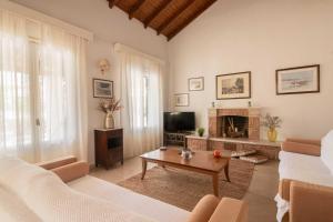 阿查拉维Villa Diana的带沙发和壁炉的客厅
