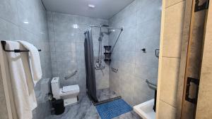 纳沃伊Royal Hotel的带淋浴和卫生间的浴室
