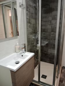 科尔多瓦朱德利亚阳台公寓的一间带水槽和淋浴的浴室
