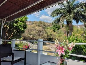 TepetzingoVilla San Rafael的阳台拥有棕榈树,享有沙漠美景