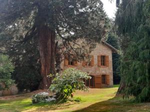 VeyracMaison des Séquoias - Parc 1 hectare-的一座古老的石头房子,有一棵大树