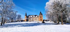 Saint-Étienne-sur-UssonChâteau de la Forie的前方有树木的雪中城堡
