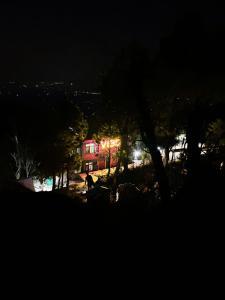 达兰萨拉Vibe Hostel的夜晚点亮的房屋