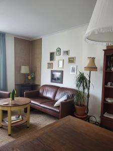 霍赫芬Logement Hartsuiker的客厅配有棕色皮沙发和桌子