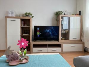 杜伊斯堡Gemütlich eingerichtete 2-Zimmer Wohnung in Duisburg Meiderich的带电视的客厅和娱乐中心