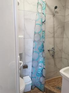 里巴斯卡班亚Apartman Aleksandar 1的带淋浴和卫生间的浴室