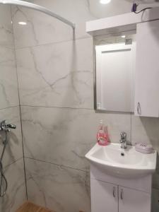 里巴斯卡班亚Apartman Aleksandar 2的白色的浴室设有水槽和镜子